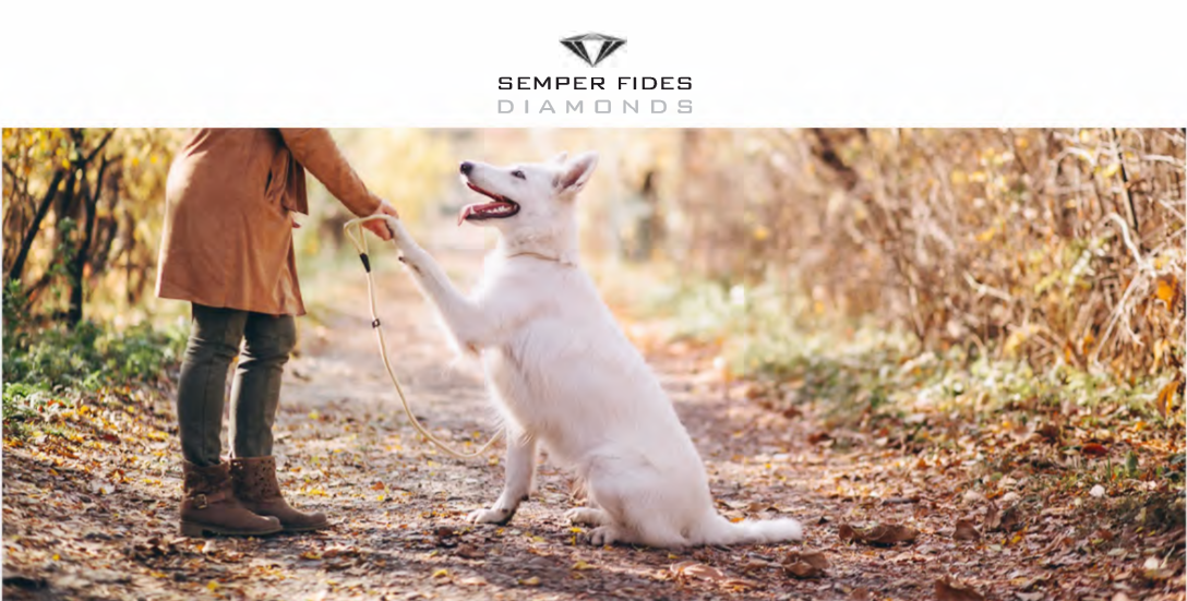 Semper Fides Diamonds_寵物骨灰鑽石