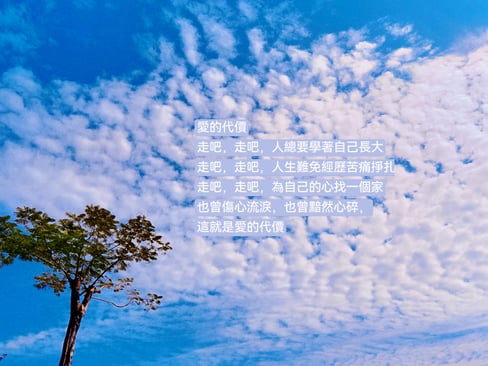 愛的代價-1