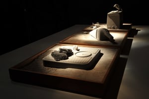 3D printed remains