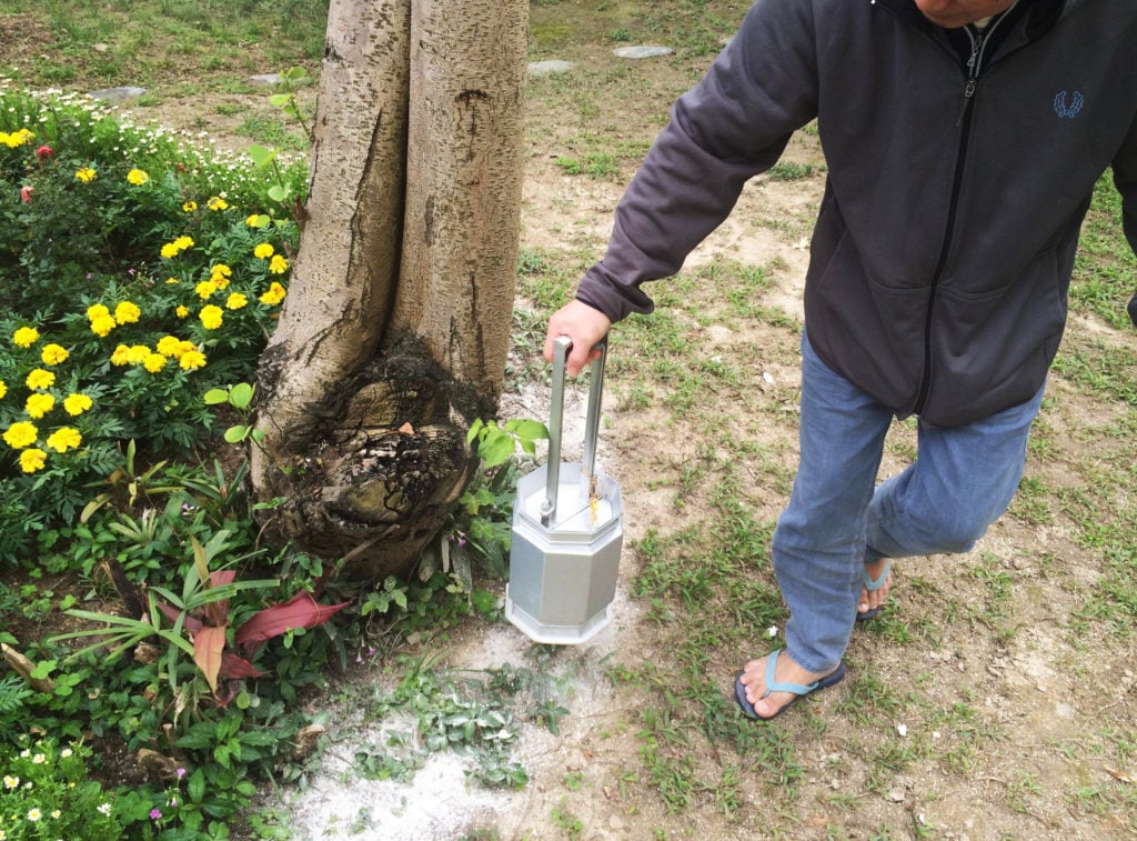 Family-member-of-the-deceased-scatters-his-cremains-beside-tree-and-flowers-in-memorial-garden-1024x757