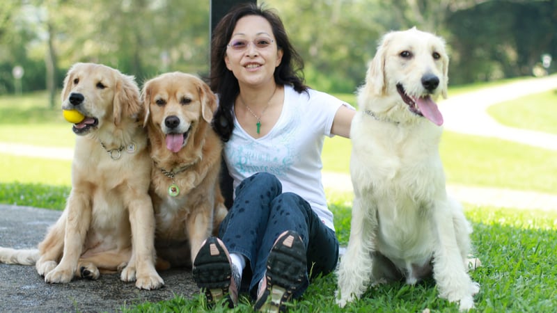 Algordanza Pet Memorial Diamond