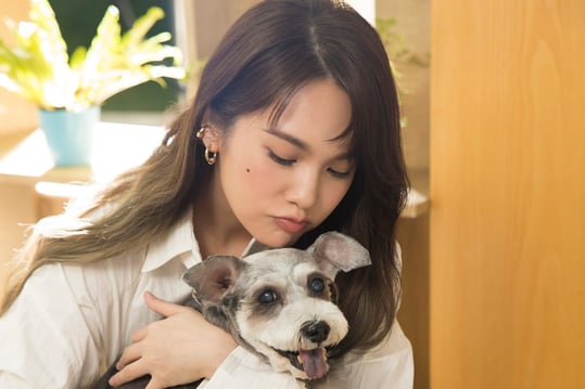 dog1