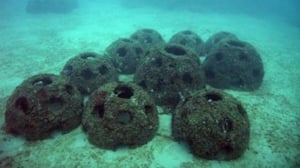 reef burial