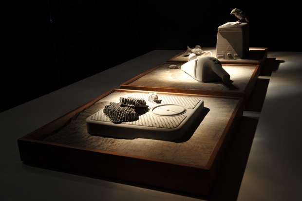 3D printed remains