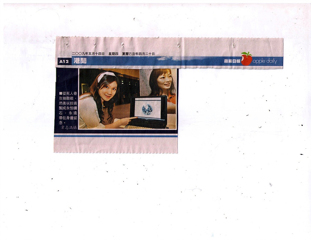 Apple Daily May 2009