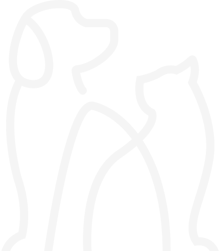 vector