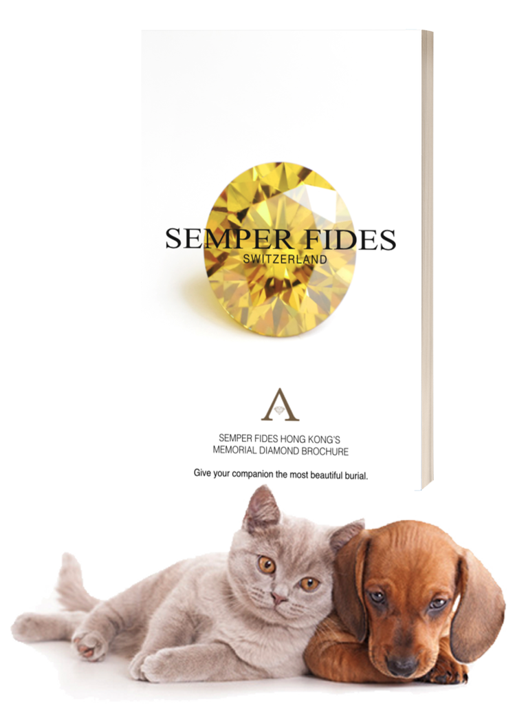 Semper_thumbnail_catdog