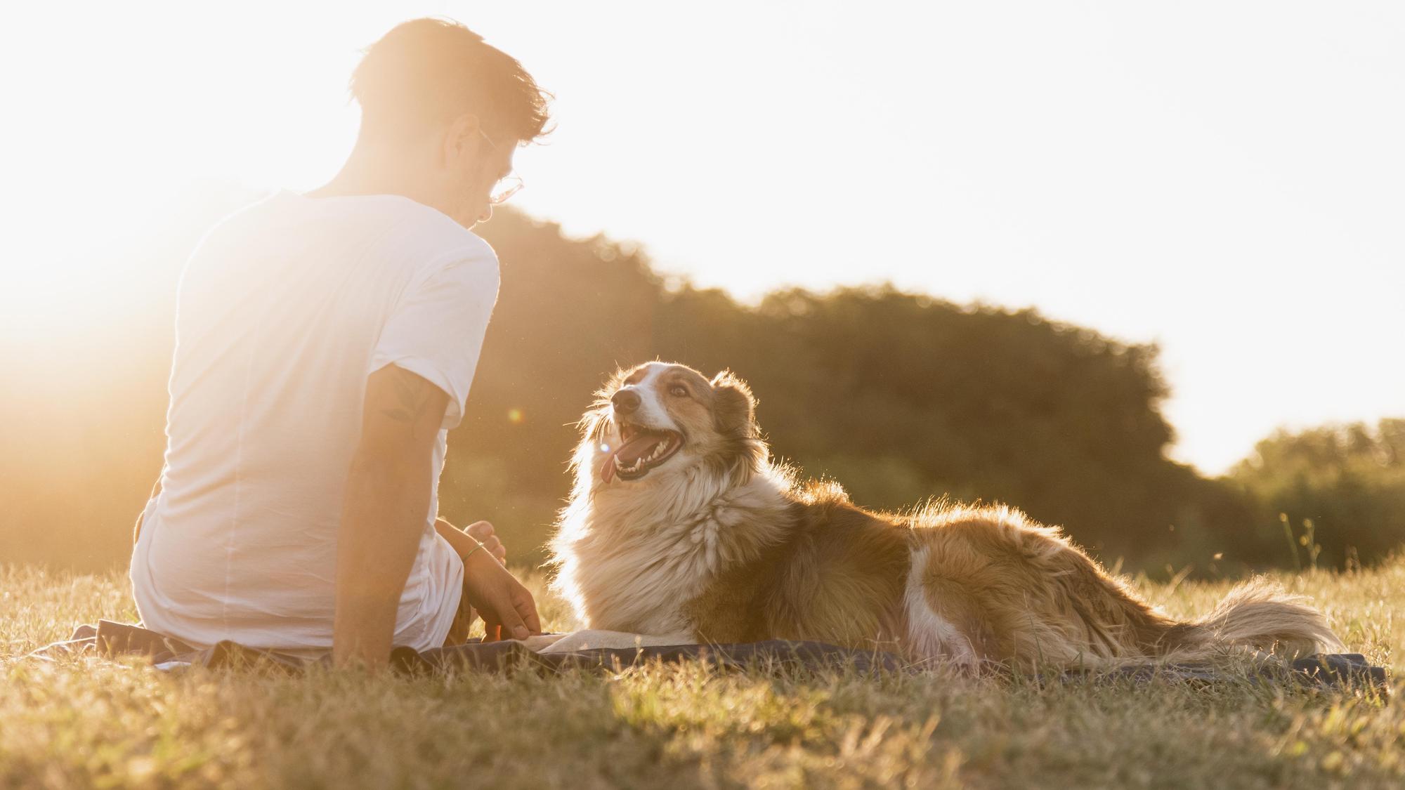 Algordanza Pet Memorial Diamond