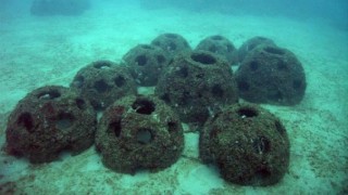 reef burial